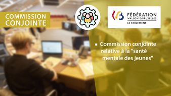 Réunion conjointe de la commission des Affaires générales du 23/05/2023 à 09h30
